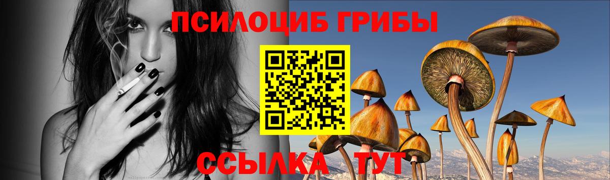 Галлюциногенные грибы Magic Shrooms  Вход с VPN  Ивантеевка  Галлюциногенные грибы GOLDEN TEACHER 